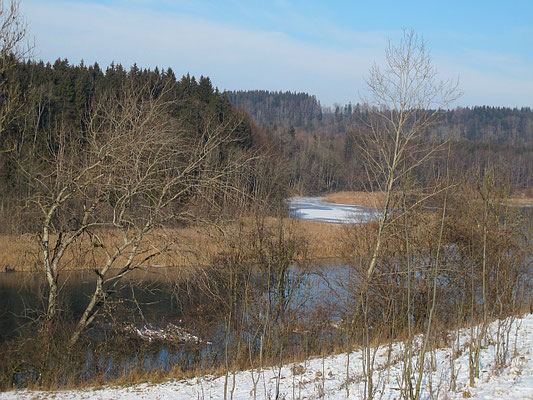 Bad Grönenbach-Au: Illerufer (Illerhangkante)