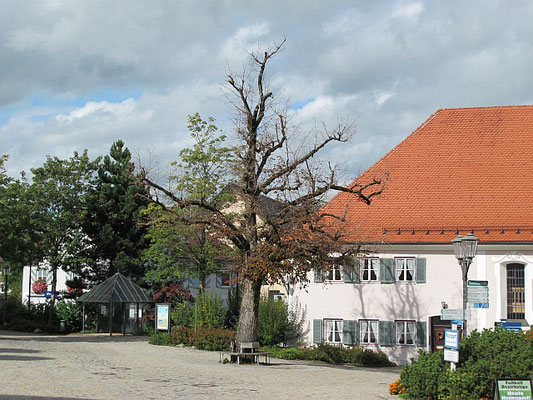 Bad Grönenbach: Marktplatz (Linde)