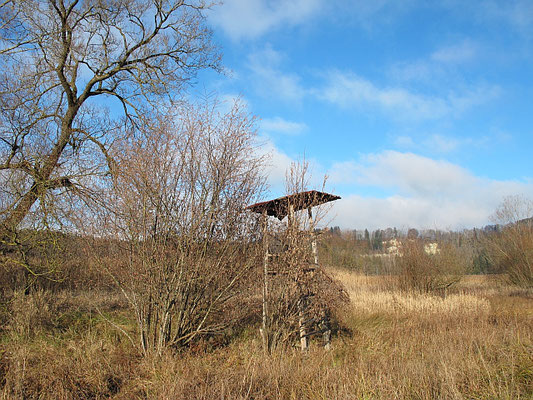 Bad Grönenbach-Au: Schönau (Illerschleife)