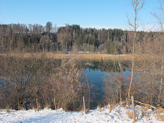 Bad Grönenbach-Au: Illerufer (Illerhangkante)