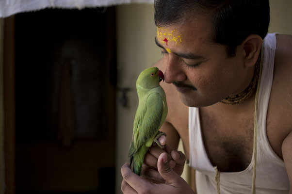 Uomo e il suo pappagallo _ Mathura _ India 2016  