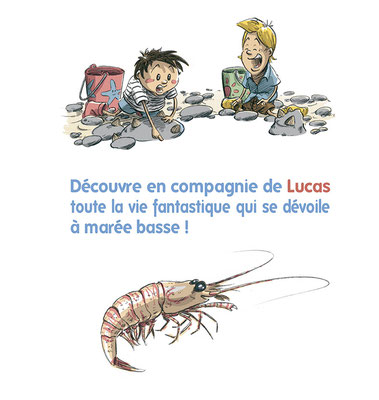 Livre jeunesse, Lucas découvre la mer par Sébastien Salingue et Mile