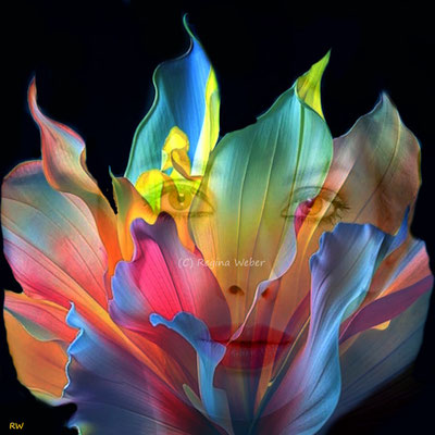 art hybrid - description under "about me"