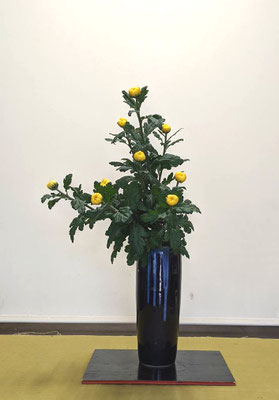 華道則天門　蟹留め 華道則天門蟹留め