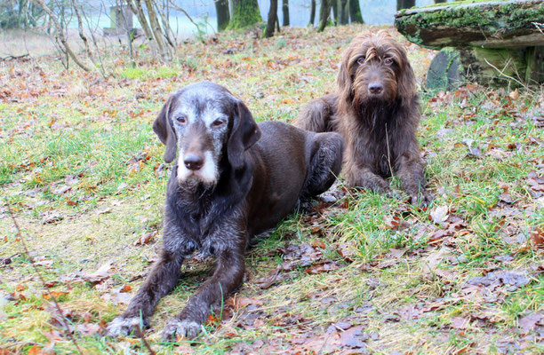 Aika mit ihrer Tochter Bessy aus dem B-Wurf