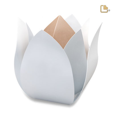 Edelstahlurne "Tulpe" in weiß/champagner : 0,5 l = 1.318,00 € und 3,5 l= 2.390,00 €