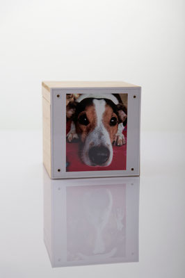 mit Plexiglas : 0,80 l = 63,00 EUR, 1,70 l = 69,00 EUR, 3,50 l = 78,00 EUR