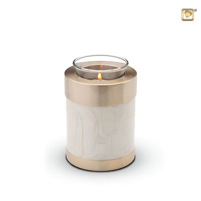 113,00 EUR