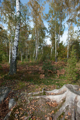 Ursprüngliche Landschaft an der Badestelle
