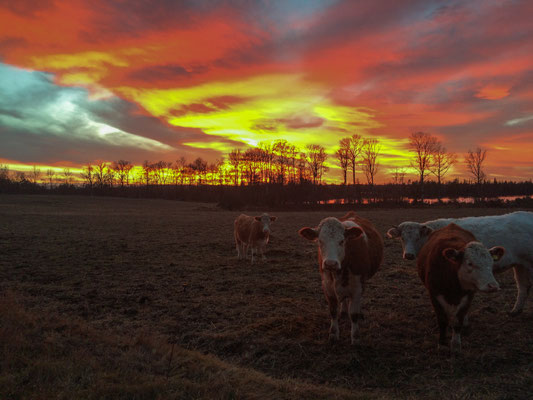 Sonnenuntergang im November