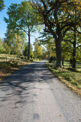 Keine überfüllten Landstraßen