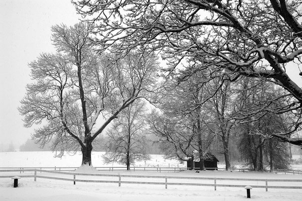 Winterlandschaft auf Skälsnäs