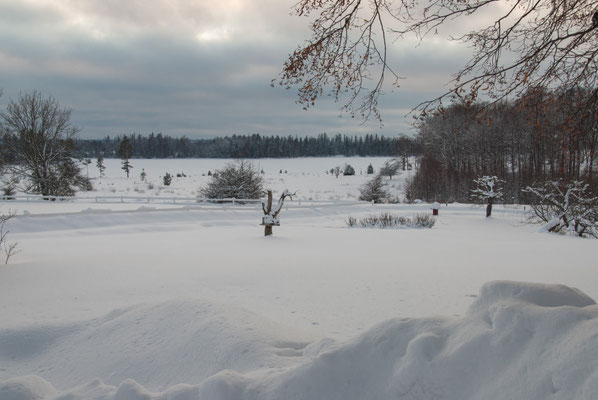 Winterlandschaft auf Skälsnäs