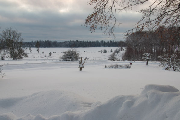 Winterlandschaft auf Skälsnäs