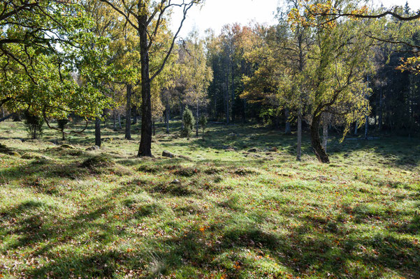 Schwedische Landschaft