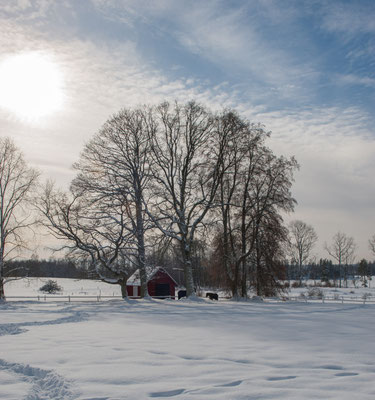 Winterlandschaft auf Skälsnäs
