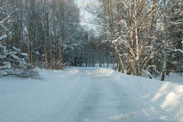 Winterlandschaft auf Skälsnäs
