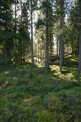 In Schweden unterwegs