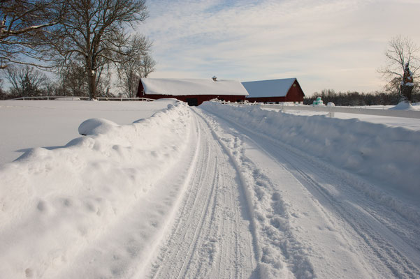 Winterlandschaft auf Skälsnäs