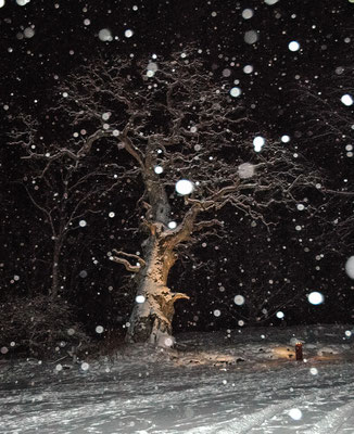 Winterlandschaft auf Skälsnäs
