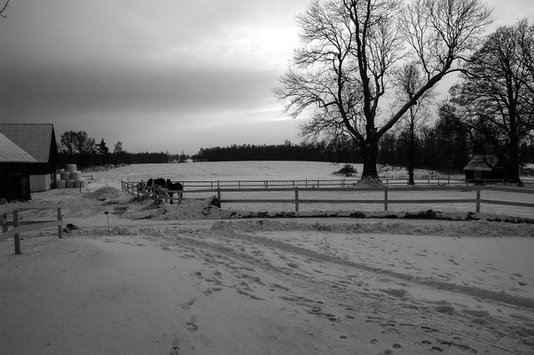 Winterlandschaft auf Skälsnäs