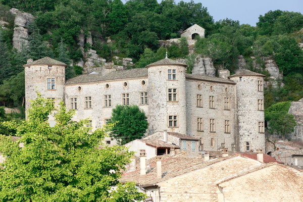 Le Chateau de Vogüé