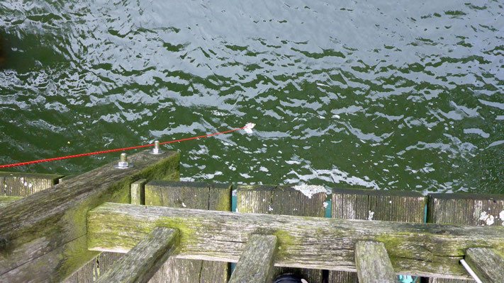 Wilfried lässt Päckchen für unterwegs von der Brücke.