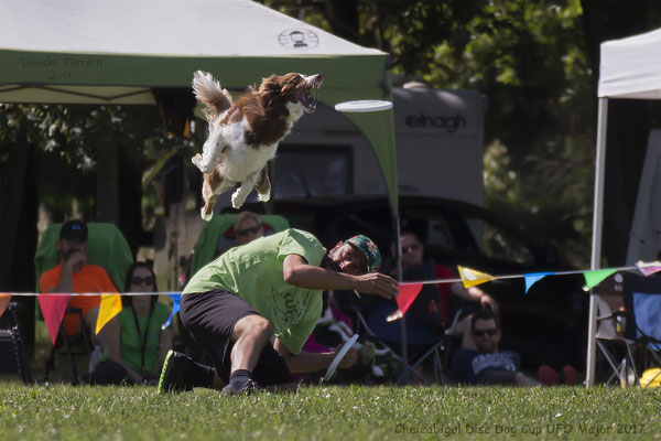 Matteo Gaddoni e Flower - Cheicabigul Disc Dog Cup UFO Major 2017