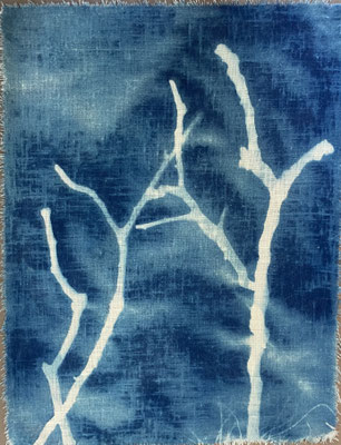 Cyanotypie auf Stoff, 37 x 28 cm_© by Evelyne Ziegler 