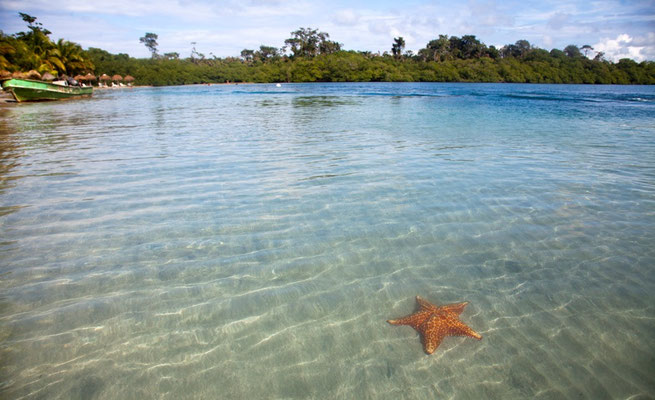 Bocas del Toro