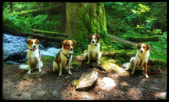 Leia, Schwester Blue, Mama Bonita und Schwester Bella