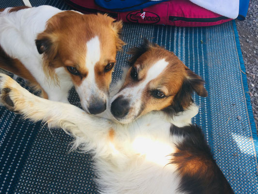 Leia und Mama Bonita 😘