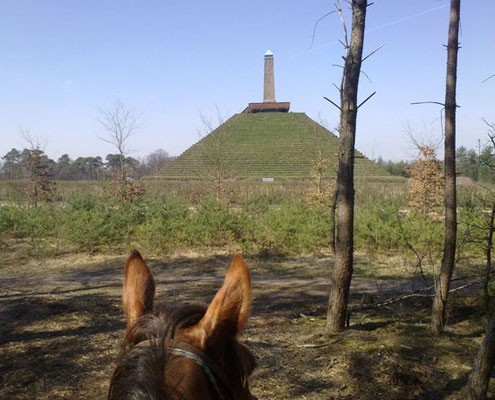 Pyramide van Austerlitz - Den Treek