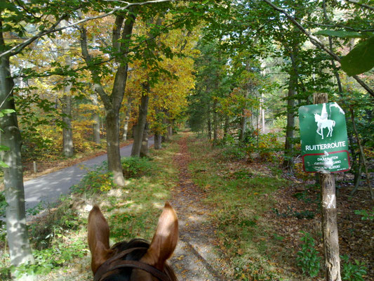 Zeisterbos