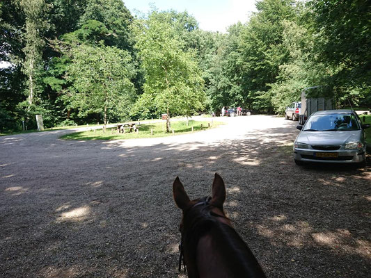 Bergweg Maarn