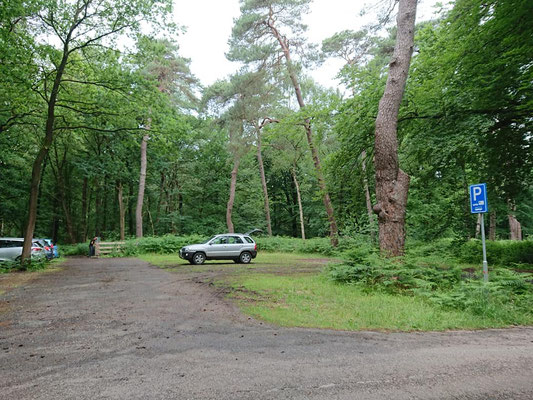 Pijnenburg - Theehuis Hoge Vuursche