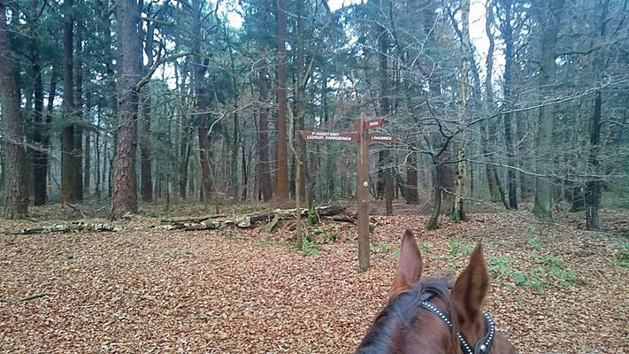Wegwijzers te Doorn - Leersum - Amerongen