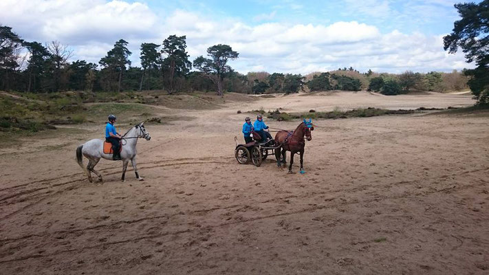 Soesterduinen