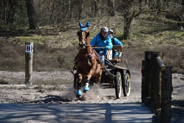 Soesterduinen - menhindernis