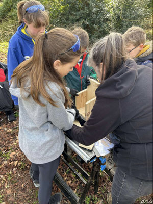 Making birdboxes 