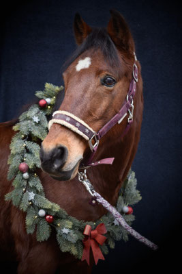 Casanova