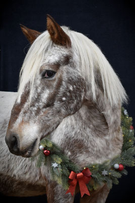 Cheyenne