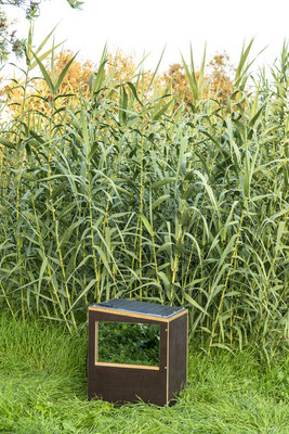 o.T. (I 07-2019), Photo Sebastiano Luciano