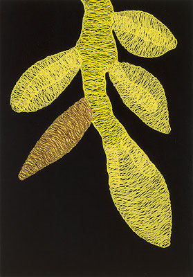 o.T. (PA 02-2009), Foto Lothar Schnepf