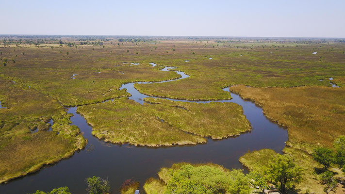 Okawango Delta