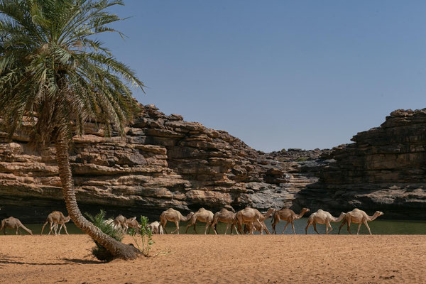 Guelta El Gheddiya