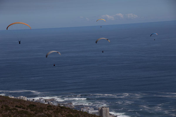Paragliding from Signal Hill
