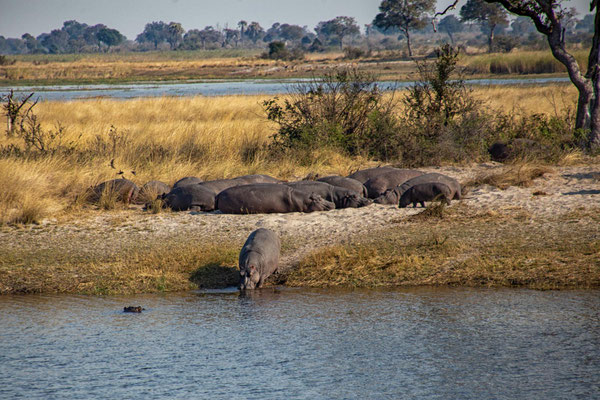 Mudumu NP