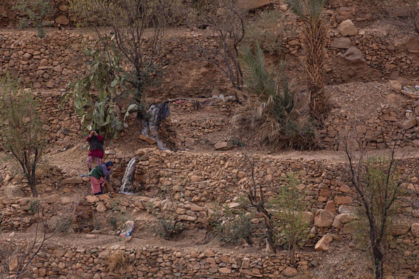 die Frauen holen Wasser (Canyon l'Assil n'Tizert)