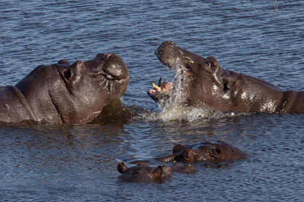 Mudumu NP